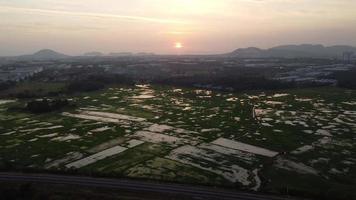 Blick auf den Sonnenuntergang von Reisfeld und Eisenbahn video