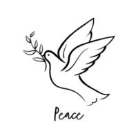 Flying dove holding olive branch hand drawing. Peace dove vector.