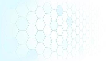 Simple blue hexagon line on white background. Medicine and science concept. Abstract healthy and medical background. Template brochure design. Technology and science wallpaper template. vector