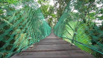 Walk at the wooden canopy bridge video