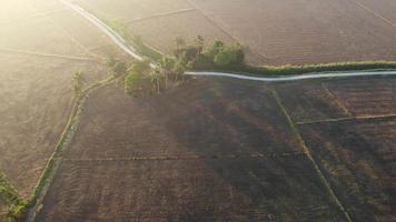 Aerial view sun ray morning shadow video