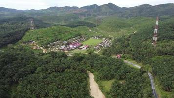 Aerial view oil palm plantation near hill side at Kulim, Kedah video