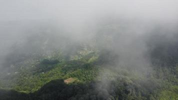 Aerial fly over low cloud near the forest video