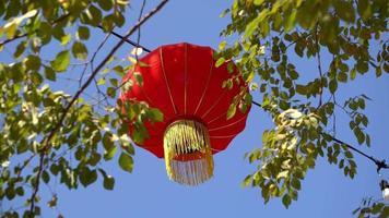 Red lantern with foreground of green leaves video