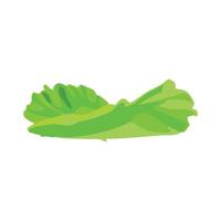 trozos de lechuga fresca verde en formato vectorial. elementos básicos recursos gráficos. se puede editar en eps 10 vector