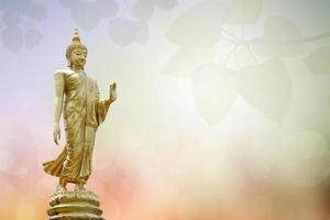 Makha Bucha Day.Vesak Day.Asanha Bucha.Buddhist Lent.Buddha statue background blurred flowers and sky with the light of the sun. photo