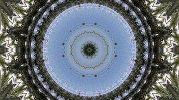 Circular illusion optic of abstract background of coconut palm tree. video