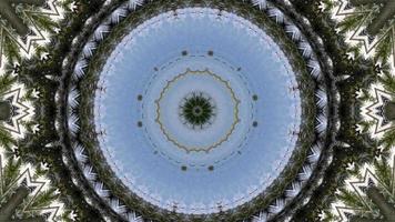 Circular illusion optic of abstract background of coconut palm tree. video