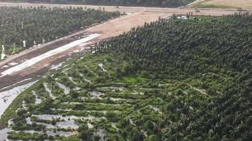 Aerial view land clearing activity carried out video