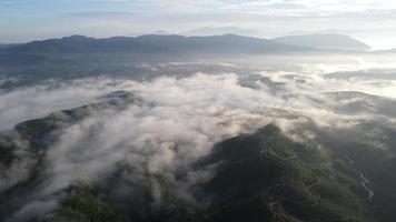 sobrevoo aéreo sobre plantação na nuvem nublada da manhã