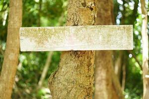 viejo cartel de madera en un árbol foto