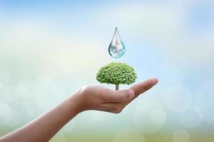 World Water Day. Water out of the tap. To preserve the environment for sustainability