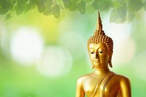 Makha Bucha Day.Vesak Day.Asanha Bucha.Buddhist Lent.Buddha statue background blurred flowers and sky with the light of the sun.