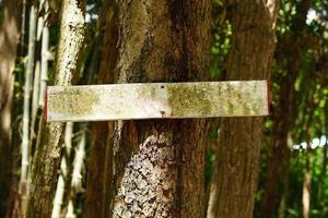 viejo cartel de madera en un árbol foto