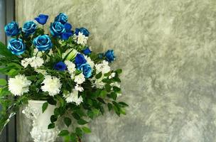 roses in pots cement wall background photo