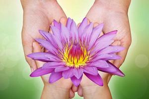 Makha Bucha Day.Vesak Day.Asanha Bucha.Buddhist Lent.lotus flowers in mother and child for blessing photo