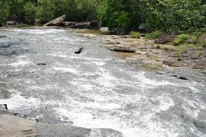 el agua fluye en un arroyo en la temporada de lluvias. foto