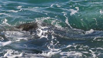 ondas do mar rolando sobre uma rocha video