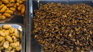 Fried insects sell in street market of Phuket, Thailand video