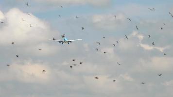 klm boeing 777 nadert video