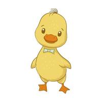 Cute baby duck isolated on white background -2 vector