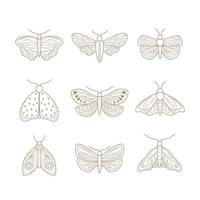 Set of hand drawn moth. Vector illustration