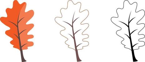 Set of different oak's leaves. Includes colorful, contour and black and white leaves. vector