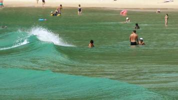 surfeurs sur les vagues video