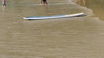 tabla de surf en la playa de arena tropical vacía. video