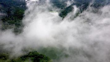 vista de drones movimiento de nubes blancas en el lago cerca de la selva tropical de malasia video