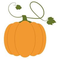 Pumpkin with leaves isolated on a white background. An autumn vegetable rich in vitamins. Flat. Vector illustration