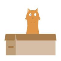 Funny cat sitting in a cardboard box. One of the favorite activities of cats. Cartoon. Vector illustration