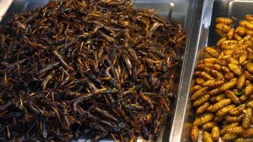 insetos fritos vendem no mercado de rua de phuket, tailândia