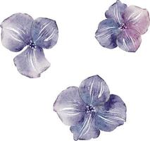 set of watercolor illustrations of blue flowers  on a white background. vector