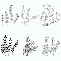 vector collection of marine plants. a set of contoured algae on a white background.