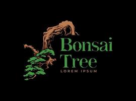 Illustration of Bonsai With Stem Pointing Down. vector