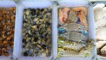 fruits de mer frais de thaïlande sur le marché de rue video