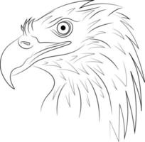 pájaro águila de contorno blanco y negro dibujado a mano simple aislado en un fondo blanco vector