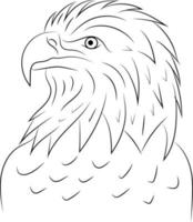 pájaro águila de contorno blanco y negro dibujado a mano simple aislado en un fondo blanco vector