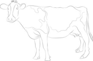 un dibujo simple de una vaca aislada en una ilustración de fondo blanco vector