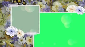 Animation white flower blooming frame on green background. video