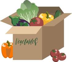 Cardboard box with assorted vegetables, tomatoes, green salad, sweet peppers, eggplant and greenery. Vector illustration. Isolated on white background