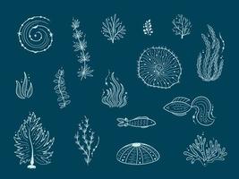 Silhouettes of sea life outline isolated on dark blue background. Vector Hand drawn illustrations of engraved line. Collection of sketches jellyfish, fish, seaweed, corals, seashells, sea urchin