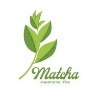 ilustración vectorial del logotipo de matcha de planta verde hecho como bebida de matcha o postre de matcha, diseño de té verde vector