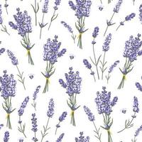 Seamless pattern with lavender bouquets and single flowers. Herbal design for fabric, home textile, wrapping paper vector