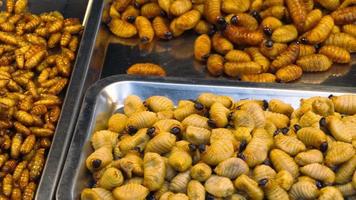 frittierte insekten verkaufen auf dem straßenmarkt von phuket, thailand video