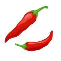 Pair red chili pepper vector illustration. Isolated white background. Spicy seasoning for cooking in kitchen.