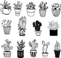 lindo cactus vectorial dibujado a mano. suculentas y cactus en una variedad de macetas. vector