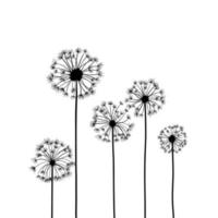 Wildflowers dandelion field, drawing, line art vector illustration. Set of isolated plants in outline style