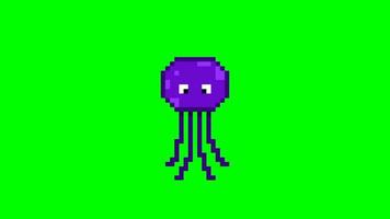 cute purple jellyfish pixel animation on green screen video